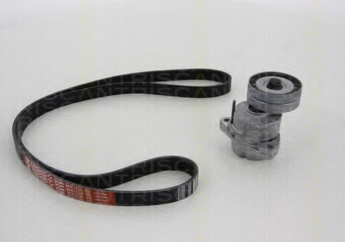TRISCAN 8642 24002 V-Ribbed Belt Set